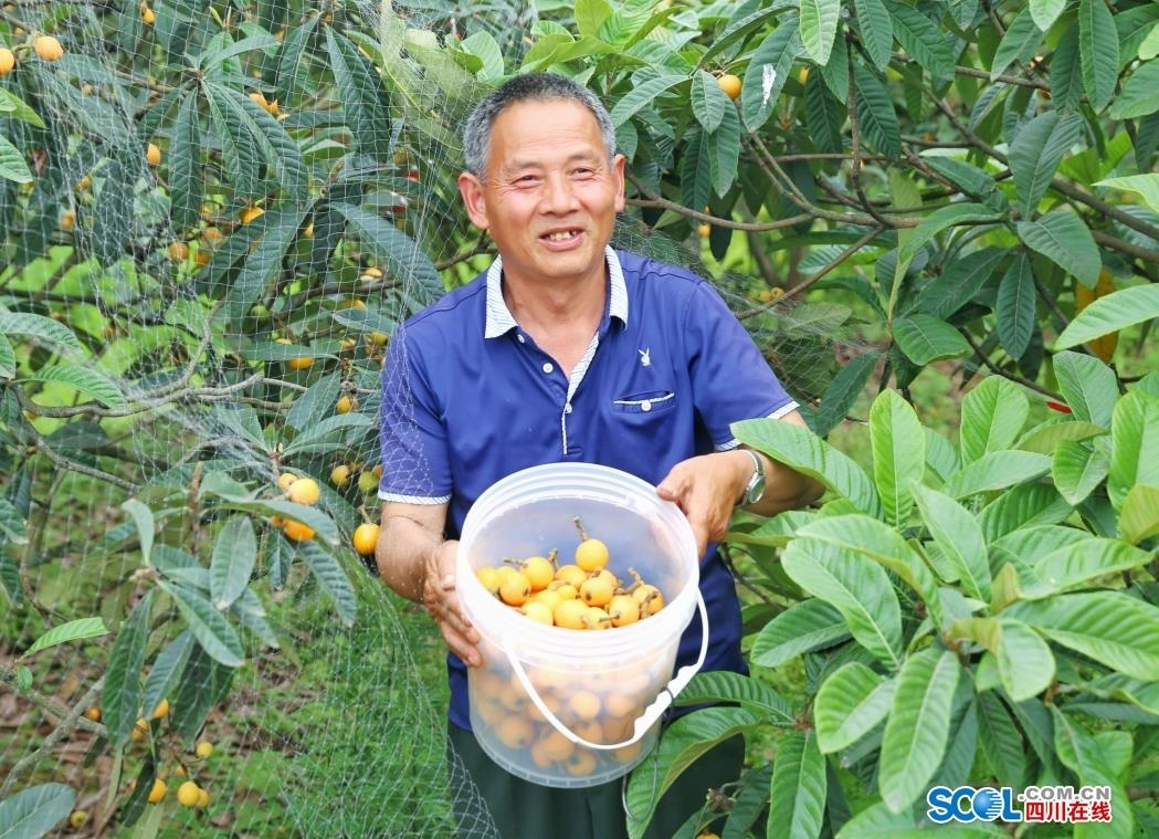 微信截图_20220430104123.png