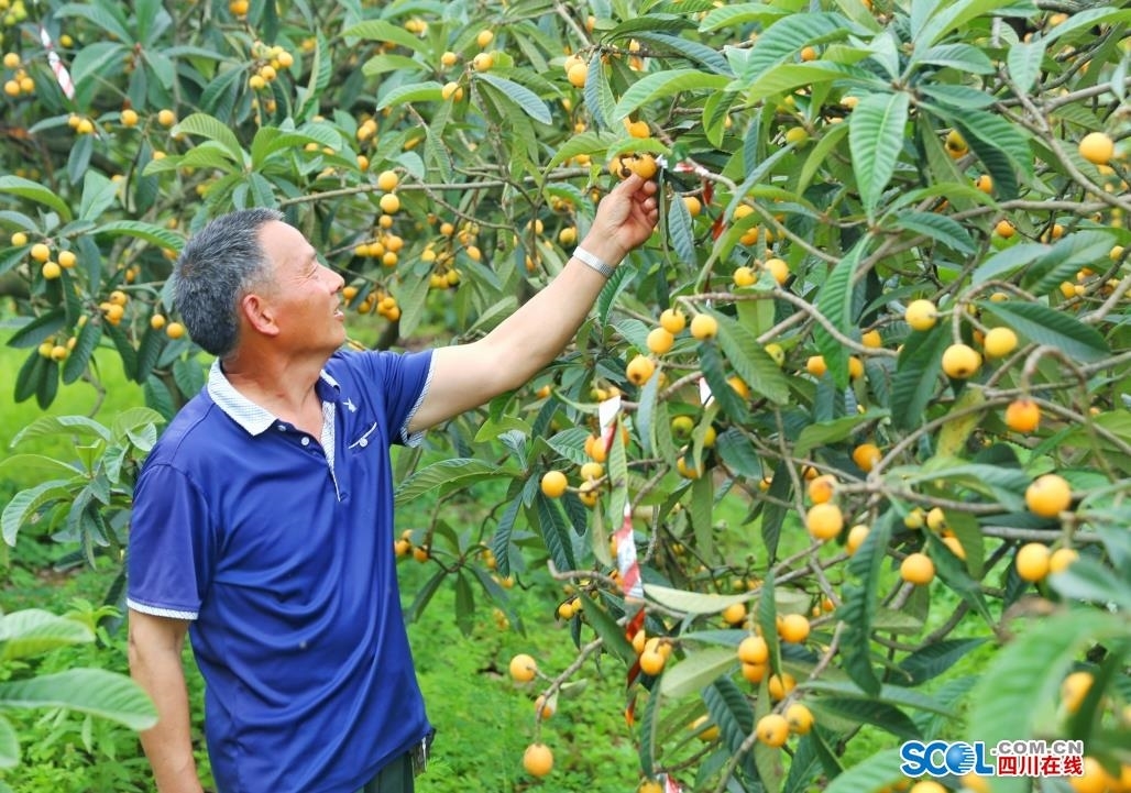 微信截图_20220430104216.png